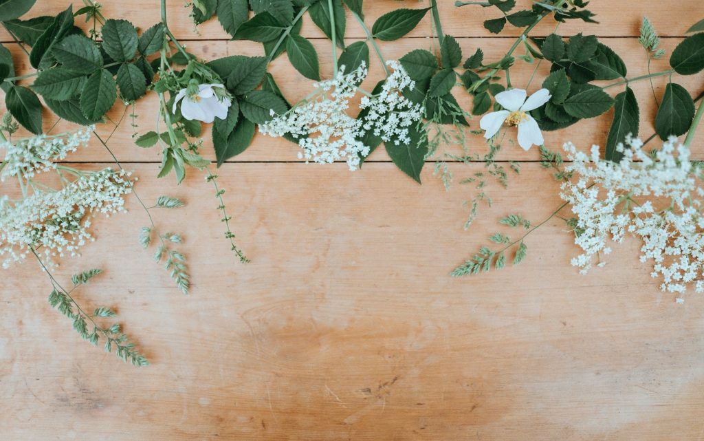 Understanding San Diego Cremation Services